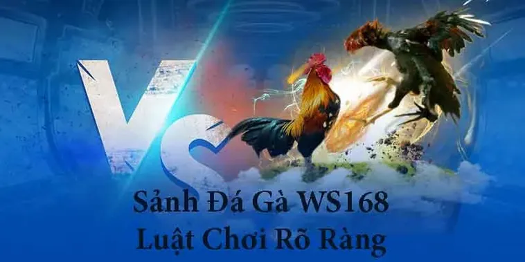 Cách Chơi Đá Gà WS168 Tại BJ66 Chuẩn Xác Cho Người Mới Kèm Mẹo Thắng Lớn