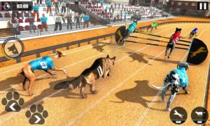 Cách Chơi Game Nhanh Đua Chó Tại BJ66 Chi Tiết Từ A Đến Z